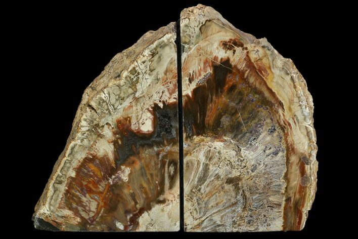 Tall, Colorful Petrified Wood Bookends - Madagascar #129933